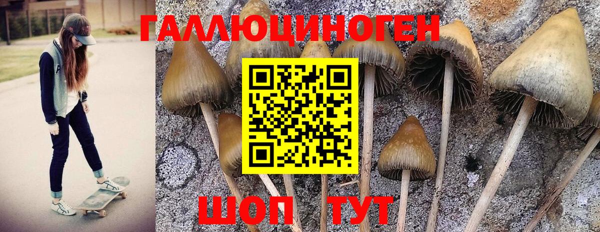 Галлюциногенные грибы Cubensis  Вход с VPN  Балашов 